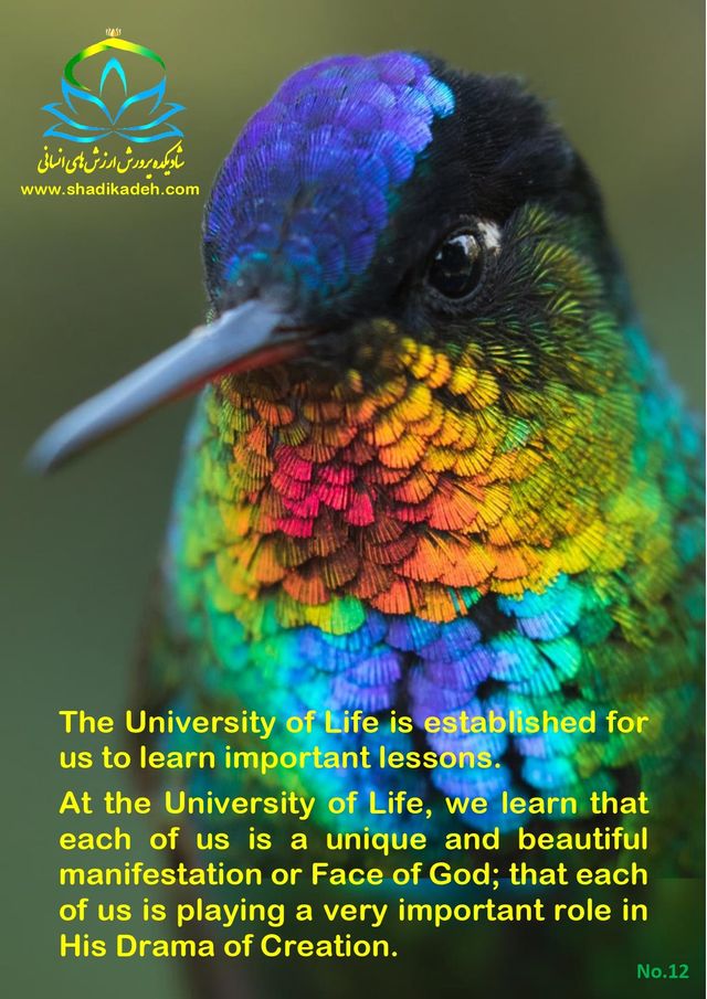 خلاصه - اسلاید 13