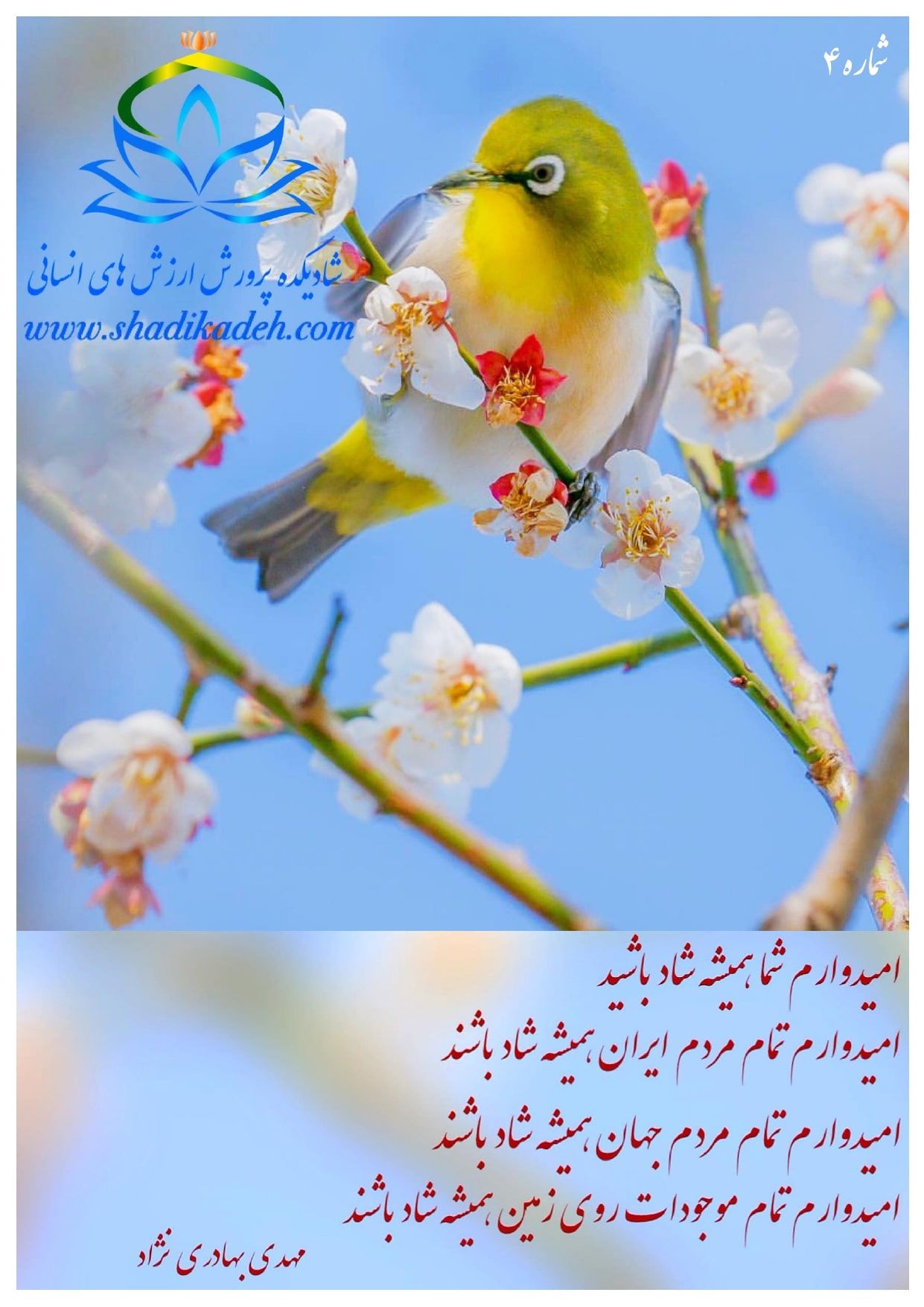 خلاصه - اسلاید 5